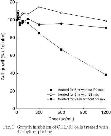 4-エチルモルホリンのチャイニーズ・ハムスター培養細胞を用いる